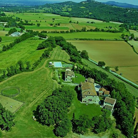 Agriturismo Il Sasso Casa de hóspedes Anghiari Exterior foto